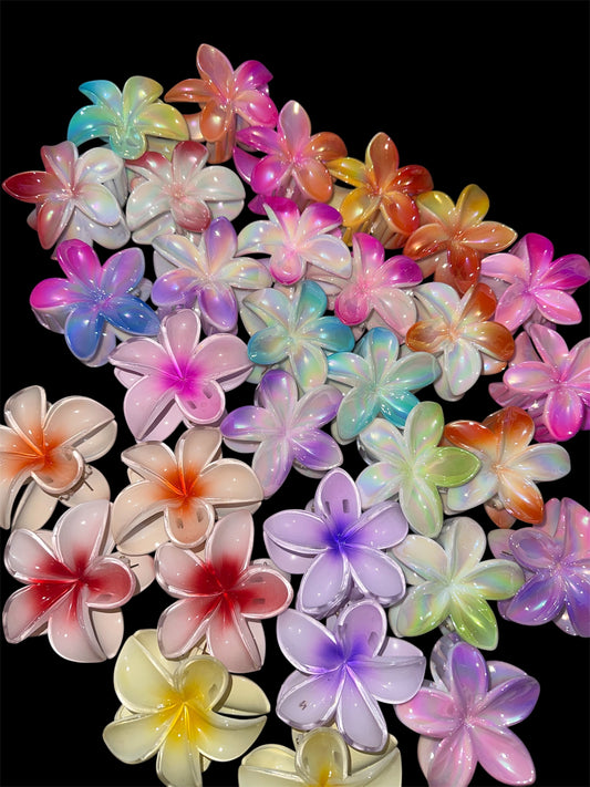 Pack Ganchos Hawaianos – Color, frescura y flow